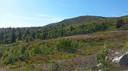 20150822_150637