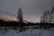 IMG_1900