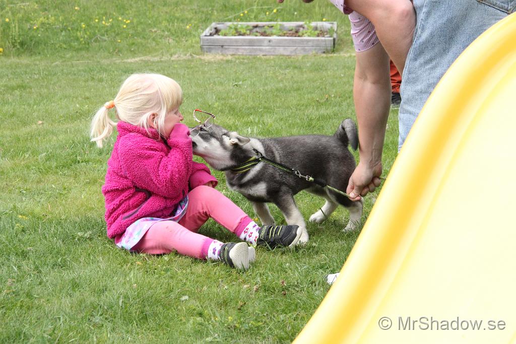 IMG_7211.JPG