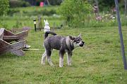 IMG_0085