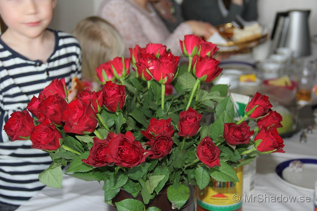 IMG_6407.JPG