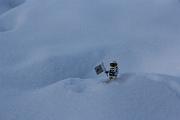 IMG_6221