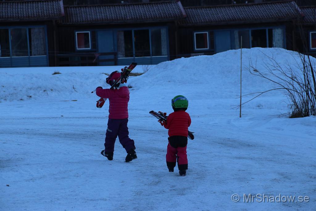 IMG_3521.JPG