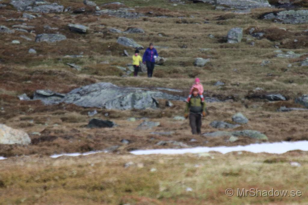 IMG_4109.JPG