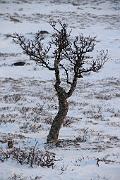 IMG_3491