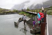 IMG_3982