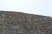 IMG_4105