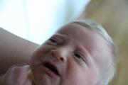 IMG_4603