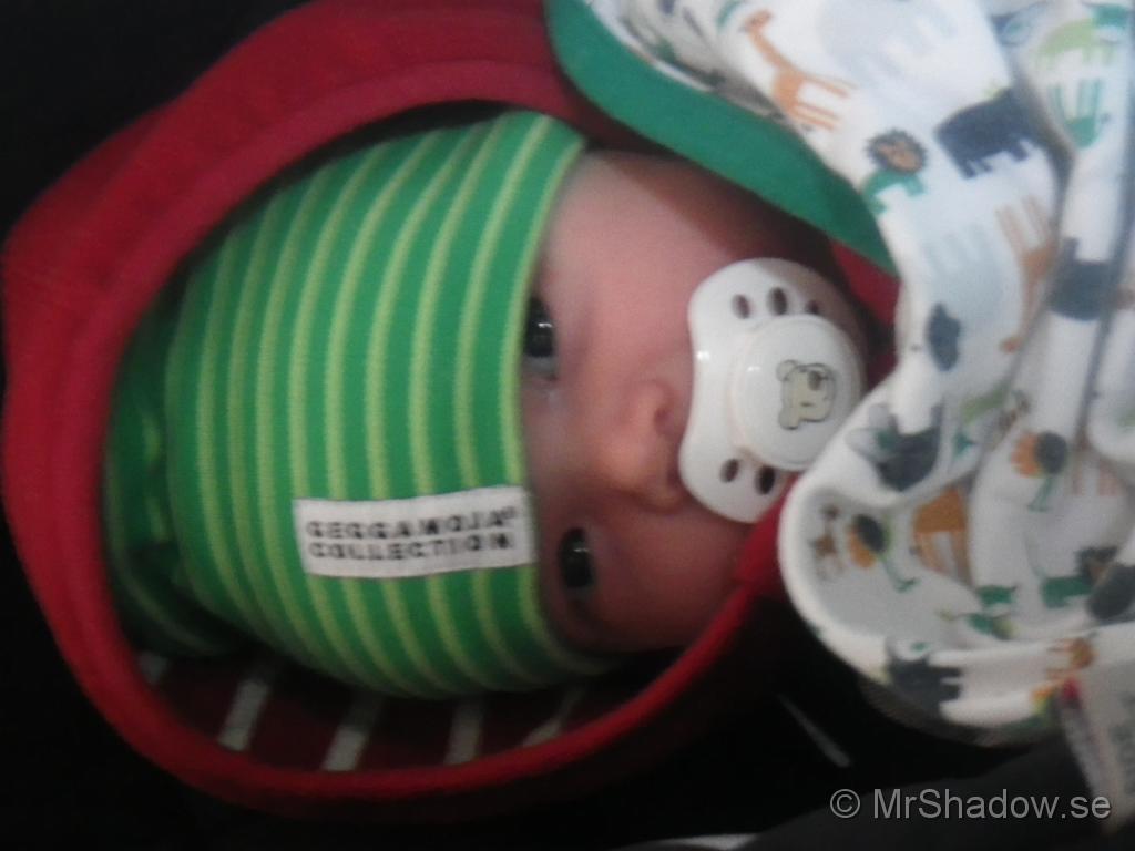 IMGP2421.JPG
