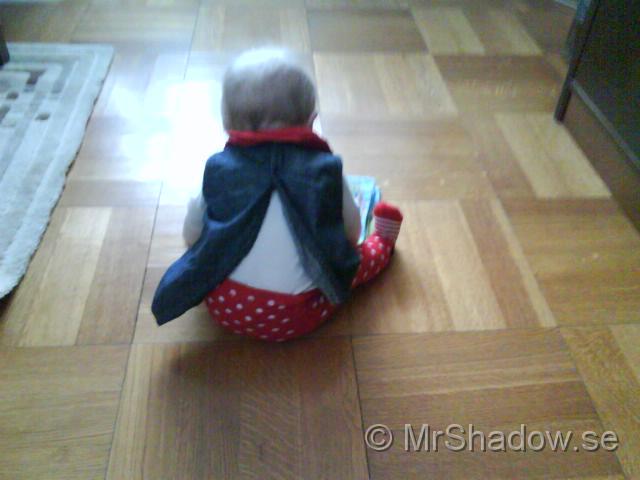DSC00326.jpg