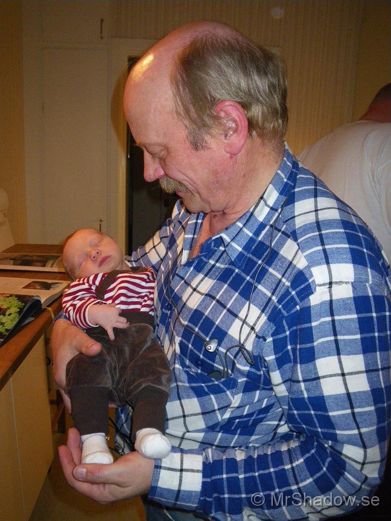IMGP4645.jpg