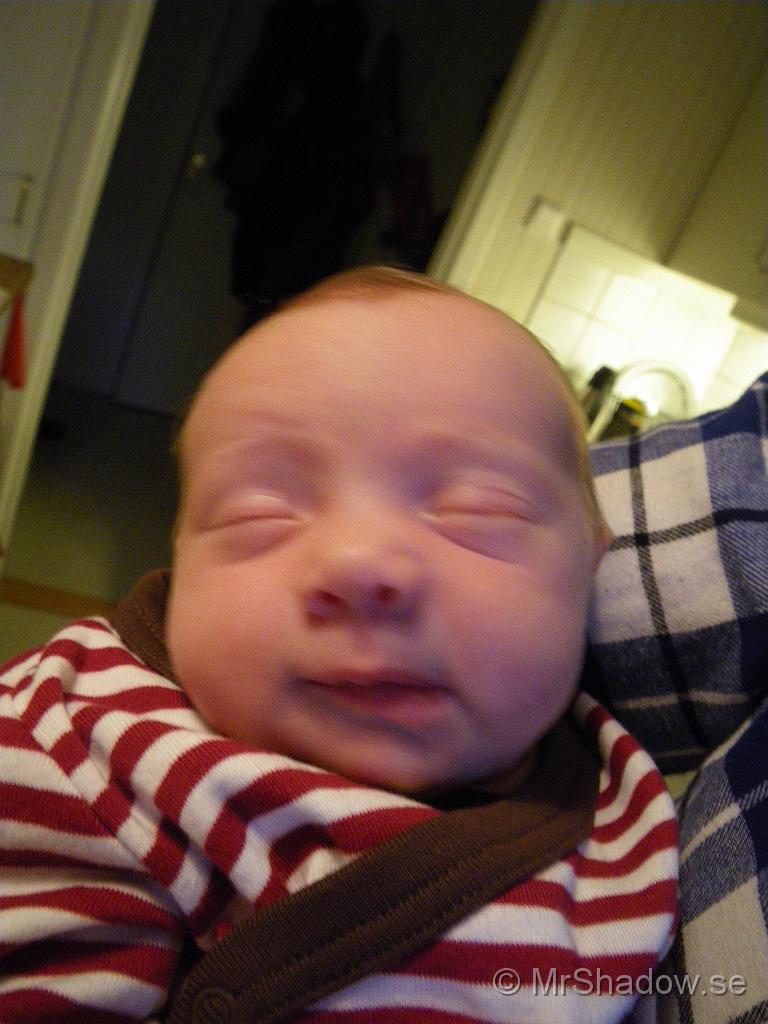 IMGP4648.jpg