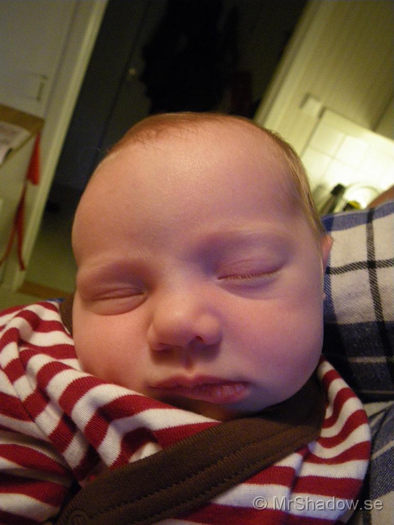 IMGP4650.jpg